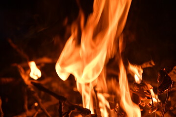 fire, flame, heat, firewood, burn, fireplace, hot, bonfire, flame, bonfire, burning, red, orange, warm, camp, night, light, camping, coal, black, yellow, barbecue, flame, danger, coal, firewood, smoke