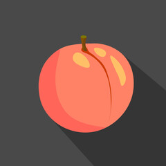 Peach cartoon flat icon.Dark background. Vector illustration.