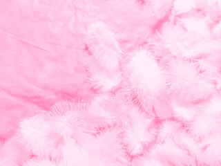 Beautiful abstract white and pink feathers on white background and soft white feather texture on pink pattern and pink background, feather background, pink banners