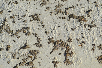 A Cracked Chipped Painted Texture