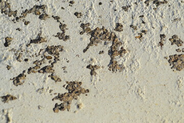 A Cracked Chipped Painted Texture