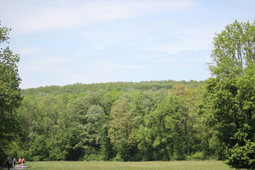 Der Lainzer Tiergarten