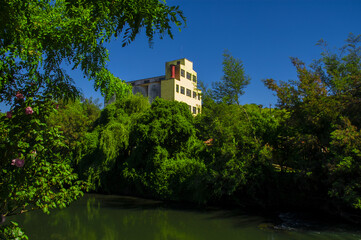 Obraz premium paisajes naturaleza campo flores pastizales bobinos volcanes rio Chile Sudamerica cascada arboles