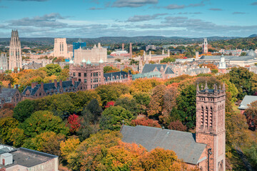 City of New Haven in the fall from birds eye perspective