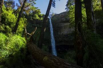 paisajes naturaleza  campo flores  pastizales bobinos   volcanes  rio Chile Sudamerica cascada arboles