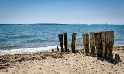 Decaying wooden groynes on the beach at Lepe, Hampshire UK