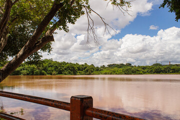 Scenic view of Lago do Amor in Campo Grande, MS, with murky waters framed by tree branches,...