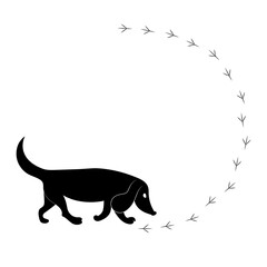 Dog follows bird's trail. Vector black silhouette image.