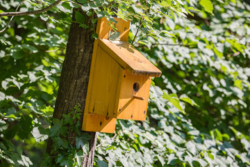 Wooden birdhouse in the tree on the wood. To take of our smaller brothers