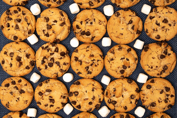 Сhocolate chip cookies close-up on a uniform background