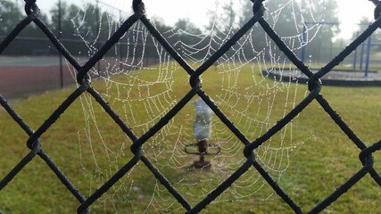 fence web playground