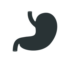 Stomach icon. Vector stomach illustration. 
