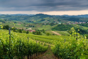 Fototapeta na wymiar Oltrepo' Pavese landscape hills with wineyards and country roads and Montalto Pavese castle in the background in a cloudy day