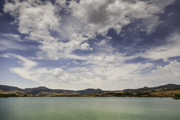 Swamp paradise beach