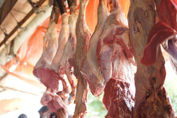 Halal cutting Meat industry,meats hanging in the cold store. Cattles cut and hanged at slaughterhouse
