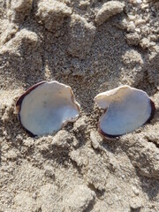 Obraz premium sunglasses on the beach