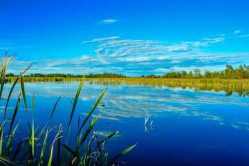 Clouds refelcted in the waters. The Narrows Provincial Recreation Area, Alberta, Canada