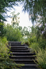 Obraz premium stairs to the wilderness 