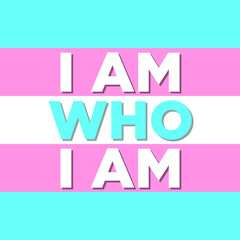 LGBTQ Plus transgender Flag White Blue Pink Lesbian Gay Bisexual and Transgender Pride Vector Template Design Element