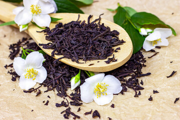 Fresh organic aromatic herbal tea in the wooden spoon with white jasmine flowers on light background.