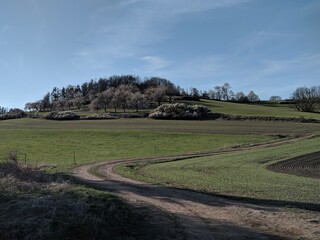 Naklejka premium view of a rural landscape with a road to the hills in south bohemian countryside during warm spring sunny day