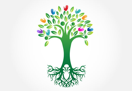 Tree logo symbol of life vector image design