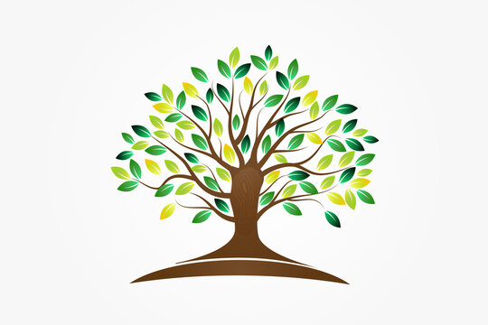 Tree logo symbol of life icon vector image 