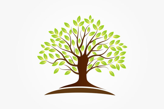 Tree ecology logo symbol of life vector image design