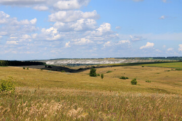 Fototapeta premium field and sky