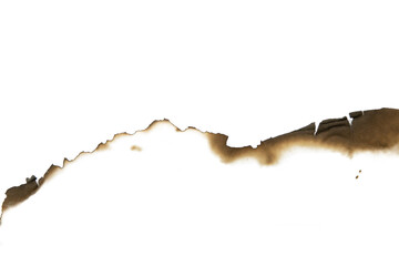 Isolated Burned Paper Pattern on White Background
