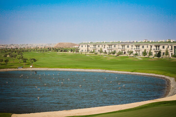 Golf. Sport. Green garden. Golf area. Background.