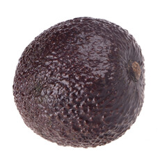 single black avocado haas isolated on white background