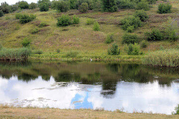 landscape of the river