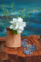 Bouquet of wild jasmine flowers on a blue background. Rustic still life with jasmine and wildflowers.  Selective soft focus. Natural still life.