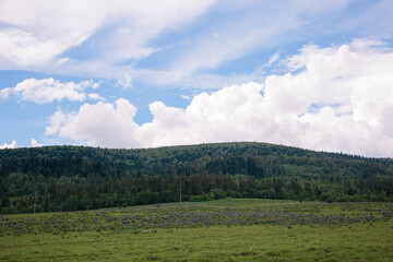 mountains landscape. Many green trees. Vacation by car. 