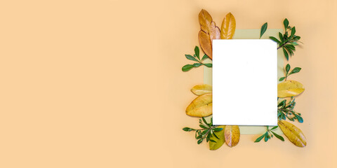 Summer and autumn composition. Green and yellow leaves on pastel orange background. Flat lay,