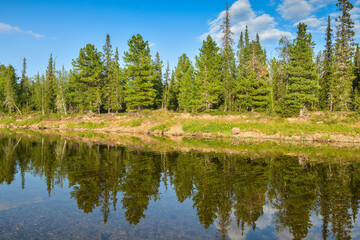 Taiga river Shchugor in the national Park Yugyd VA.