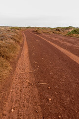 Red earth road with tire tracks