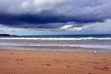 Manly Beach, Sydney, Australia