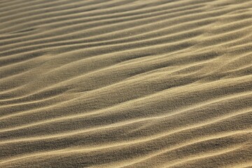 Fototapeta na wymiar Sand waves formed at Dunes in 