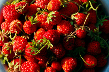 Close up image of yummy delicious  small red strawberry in a bowl. Red strawberry background. Food, rural concept. Ripe red strawberries on wooden table.