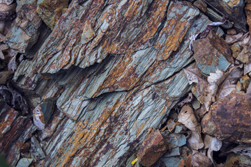 background of rust of breeds
