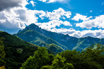 Obraz premium trees, mountains and clouds