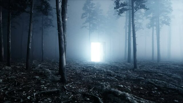 Glowing door in fog night forest. Light portal. Mistic and magic concept. Realistic 4k animation.