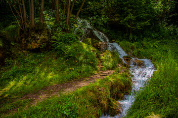 mountain stream with path