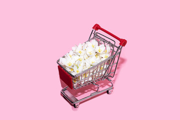 Shopping trolley on pastel pink background with copy space.