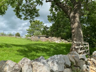 Derelict building in a field, surrounded by a dry stone wall in, Kildwick, Keighley, UK