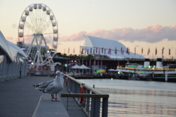Sunset in Sydney, Australia