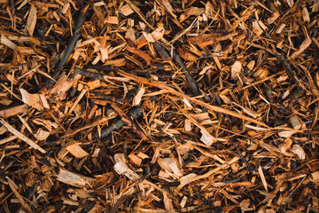 Wood chips