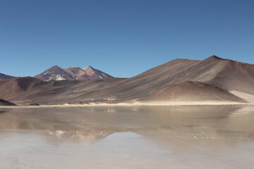 Landscape of Piedras Rojas, Atacama, Chile.